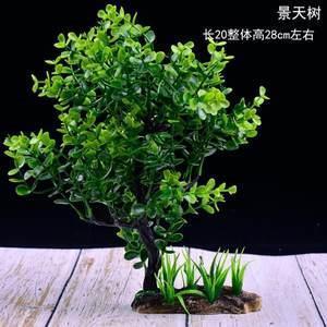 秦树楚天