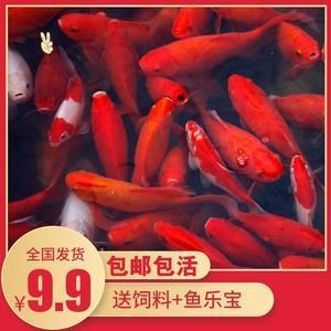谭天说地