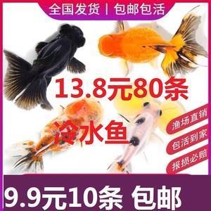 雨愁烟恨