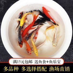 劈头劈脑