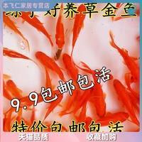 奸官污吏