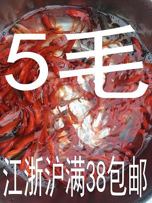烧香礼拜