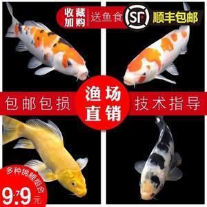 云飞烟灭