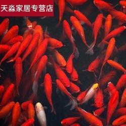 叠嶂层峦