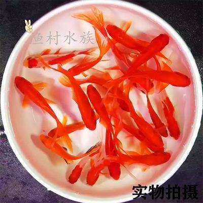 倾耳细听