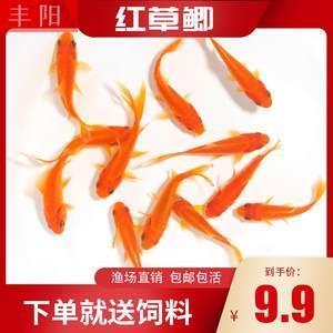 晚安心语发朋友圈短句集合27句