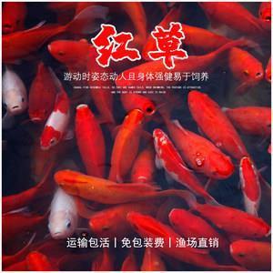 出纳之吝
