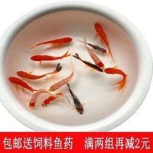 长他人威风，灭自己志气
