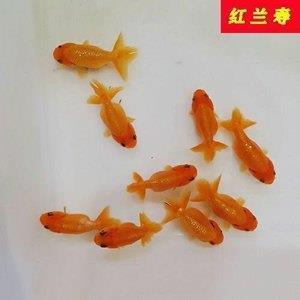 渴者易饮