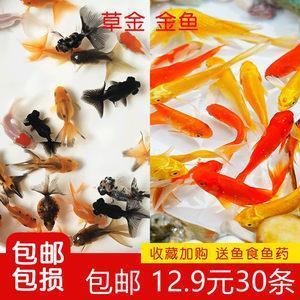 潘杨之睦