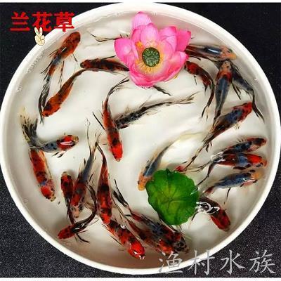 水枯石烂