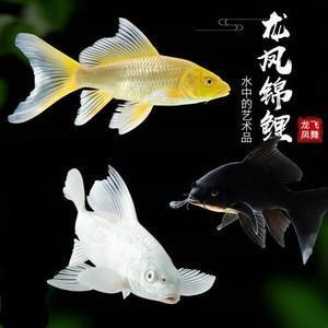 四时之气