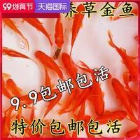 牵衣肘见