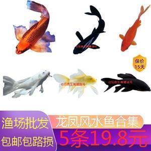 枉辔学步