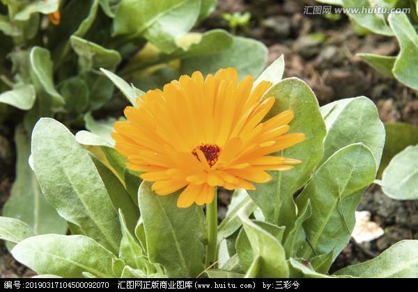 无巧不成话