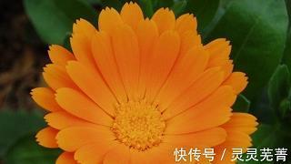 半壁山河