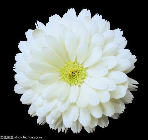 吃人不吐骨头