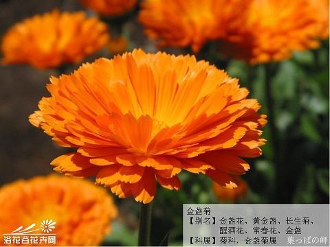 锱珠必较