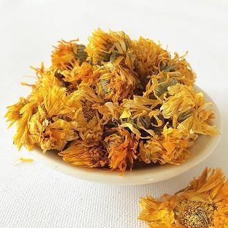 夙心往志