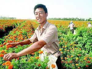 宦海浮沉