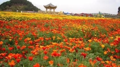 守约施搏