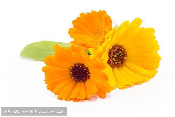 吹毛索疵