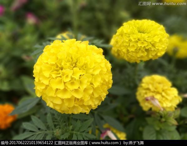 天高皇帝远