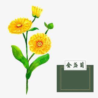 繁文末节