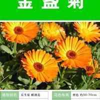 殷殷勤勤