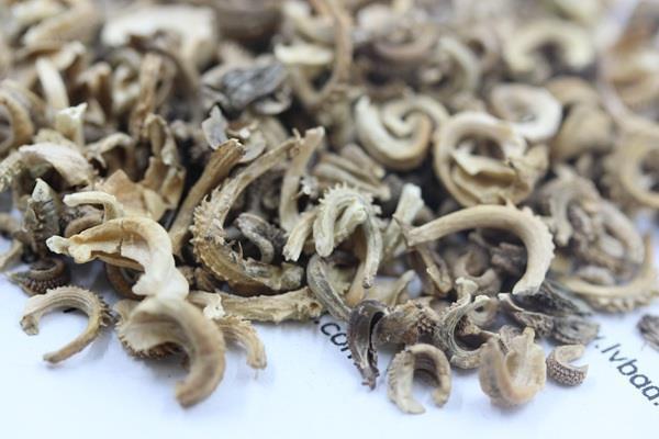 贞风亮节
