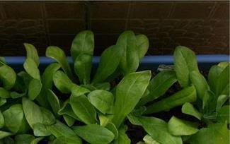 铁鞋踏破