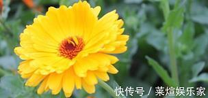 人中豪杰