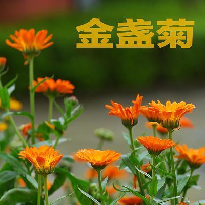 众目共睹