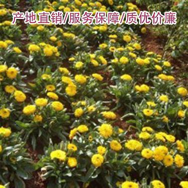 旁征博访