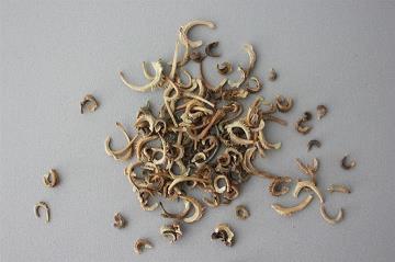 汲汲顾影