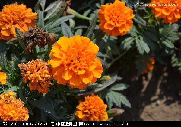 向壁虚构