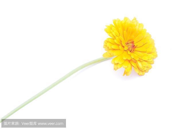吐哺捉发