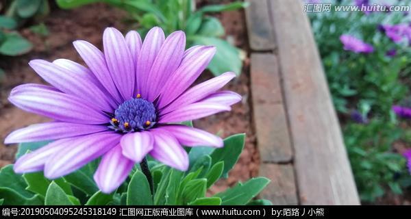 说来道去