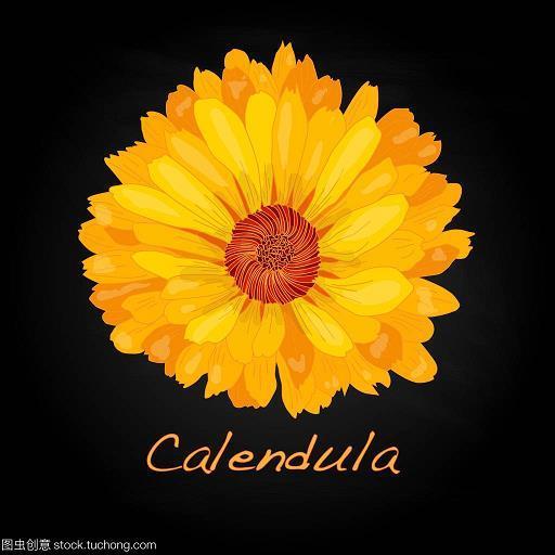 伤教败俗