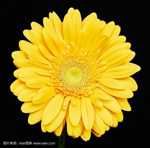 谊切苔岑