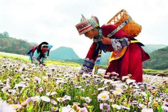 观变沉机