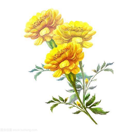 毛举细务
