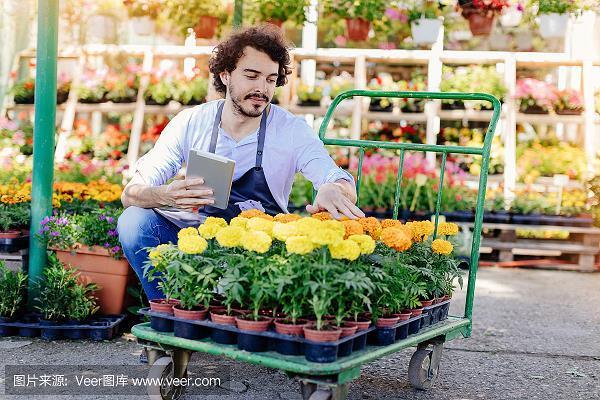 指腹为婚
