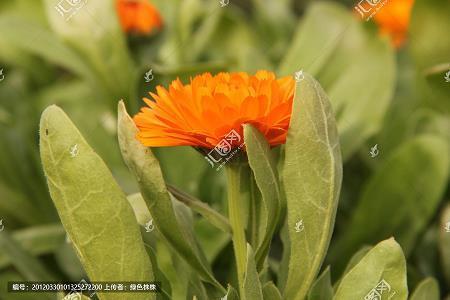 踢断门槛