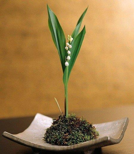 掩罪饰非