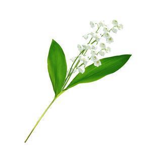潜深伏隩