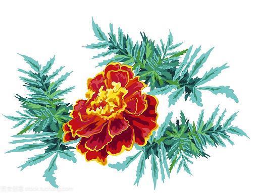 恍恍荡荡