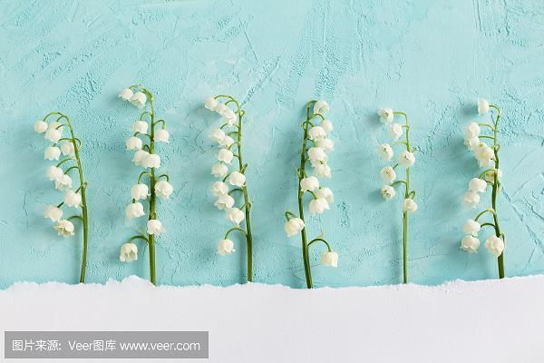 策马扬鞭