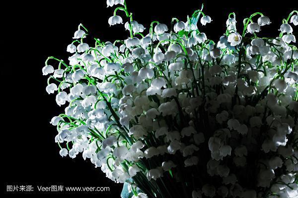 众目共视