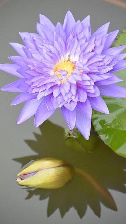 感人的情话最暖心短句给闺蜜_闺蜜生日暖心短句